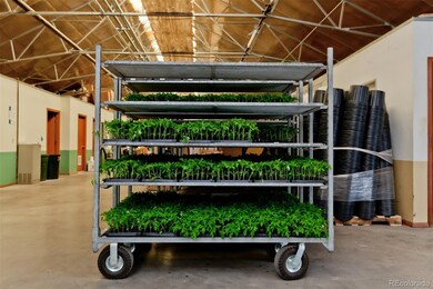 3281 C Rd, Palisade, CO 81526 - photo 6