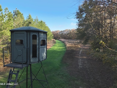 0 Paradise Rd, Bentonia, MS 39040 - photo 7
