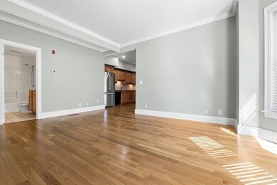 116 Chestnut St unit 2, Waltham, MA 02453 - photo 4