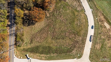 12259 Sunset Reserve Ct, Saint Louis, MO 63127 - photo 3