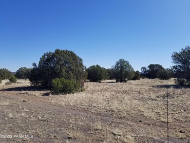 252c Juniperwood Ranch, Ash Fork, AZ 86320 - photo 4