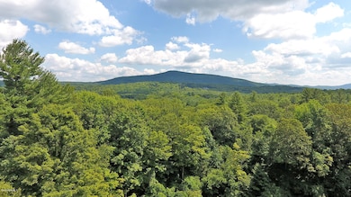 View from Deck