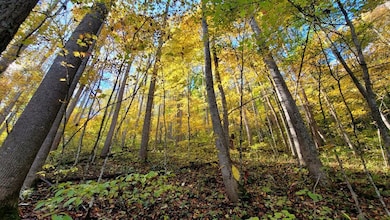 Meadow Creek Falls Retreat