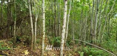 234 XX 197th St E, Orting, WA 98360 - photo 5
