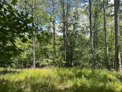 Lot 27 Honeysuckle Trail, Lincolnton, GA 30817 - photo 5