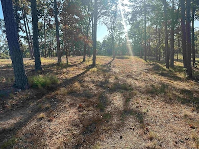 2915 Orchard View Dr, Conway, AR 72034 - photo 2