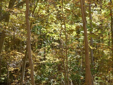 The parcel features mature hardwood...