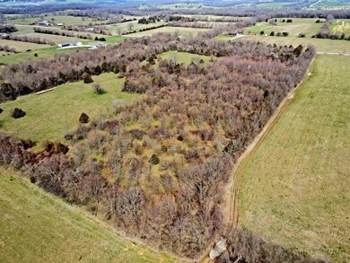 dji_fly_20230315_114418_16_1678898744419