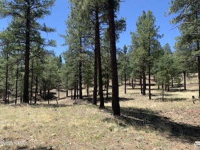 2343 E Del Rae Dr unit 176, Flagstaff, AZ 86001 - photo 3