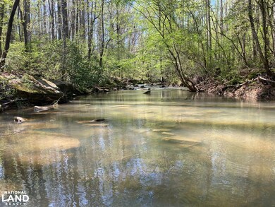 391 Co Rd 1171, Cullman, AL 35057 - photo 5