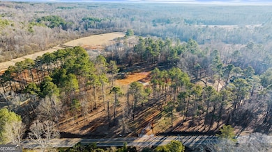 113 Hickory Flat Rd, Milton, GA 30004 - photo 7