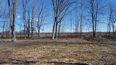 486 Main St, Hatfield, MA 01038 - photo 6