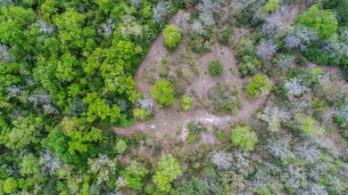 0 McMyers Ln, Crawfordville, FL 32327 - photo 2