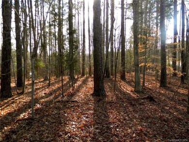 Wooded lot for privacy