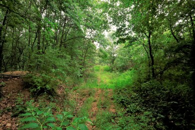 2914 N Old US31 (4)