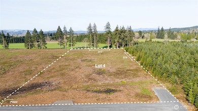 133 Beckett Ln, Chehalis, WA 98532 - photo 2