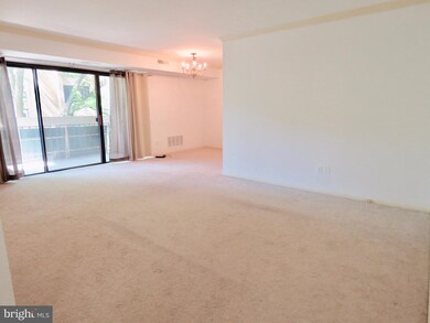 6143 Leesburg Pike unit 301, Falls Church, VA 22041 - photo 6