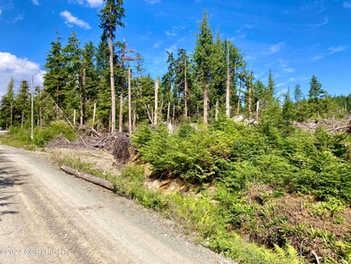 IMG_4355