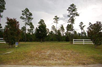 124 Ashton Oaks Dr, Saint Augustine, FL 32092 - photo 6