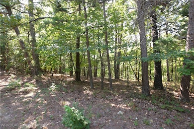 9116 E Clear Creek Rd, Flint Creek, OK 74347 - photo 2