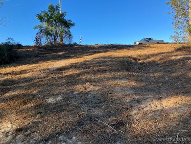 Lot 2 Sunshine Rd, Andalusia, AL 36421 - photo 6