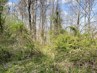 Tbd Orby Cantrell Hwy, Wise, VA 24293 - photo 5