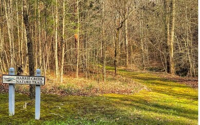 Walking Trail