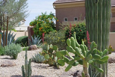 Front Landscape