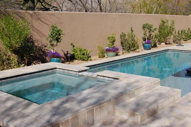 Back Yark / Pool