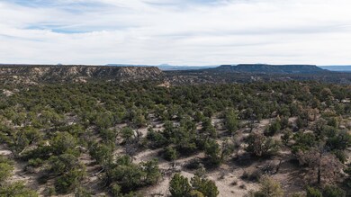 0 Nsn Highway 36 unit 11615222, Fence Lake, NM 87513 - photo 7