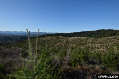 22000 Highway 47 (Block), Gaston, OR 97119 - photo 4