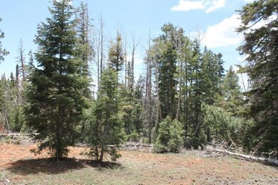 Picture of the Lot