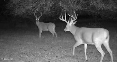 1851 Swamp Rd, Carthage, MS 39051 - photo 2