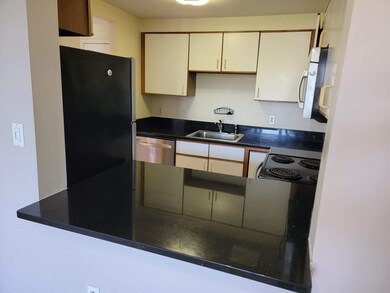 The Pavillion unit 509, Cambridge, MA 02141 - photo 5