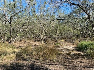 4618 N Mile 3 1 2 W, Weslaco, TX 78599 - photo 6