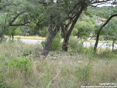 19707 Terra Mont, San Antonio, TX 78255 - photo 3