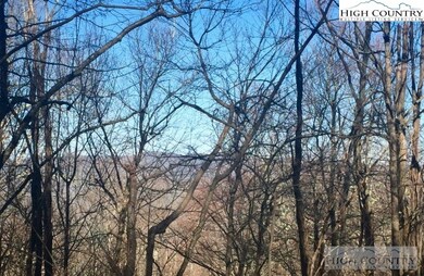 Grandfather View