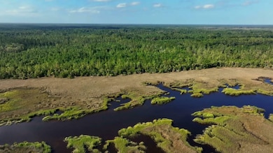 0 Georgetown Rd, Brunswick, GA 31523 - photo 3