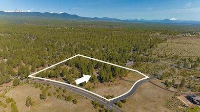 Property Drone