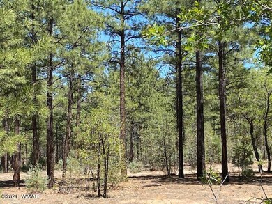 1511 S Elk Run Dr, Show Low, AZ 85901 - photo 5