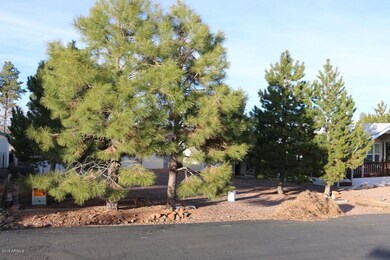 Trees Front of Lot