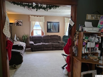 1175 N Locust St, Wahoo, NE 68066 - photo 4