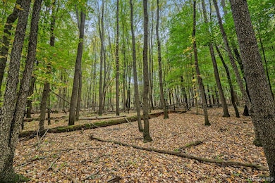 1570 Lone Tree Rd, Milford, MI 48380 - photo 4