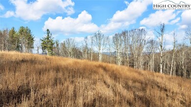 53 Springwinds Dr, Beech Mountain, NC 28604 - photo 6