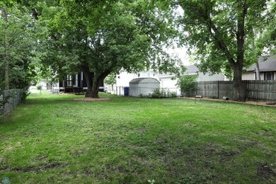 backyard2