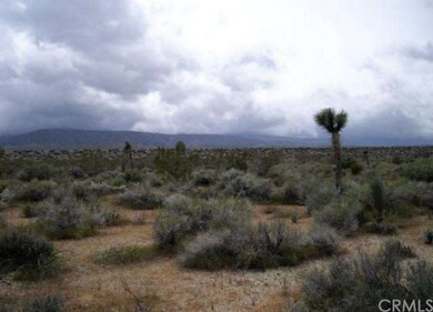 Standing at south of property, looking southwest. 