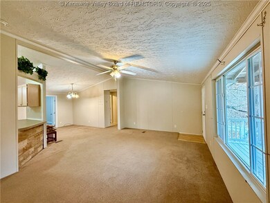 630 Trace Creek Rd, Hamlin, WV 25523 - photo 5