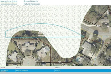Estuarine and Marine Wetland