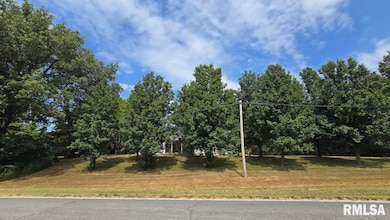 650 Old Route 146 Loop, Vienna, IL 62995 - photo 3