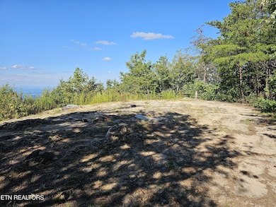 2820 Dupont Springs Rd, Sevierville, TN 37876 - photo 2